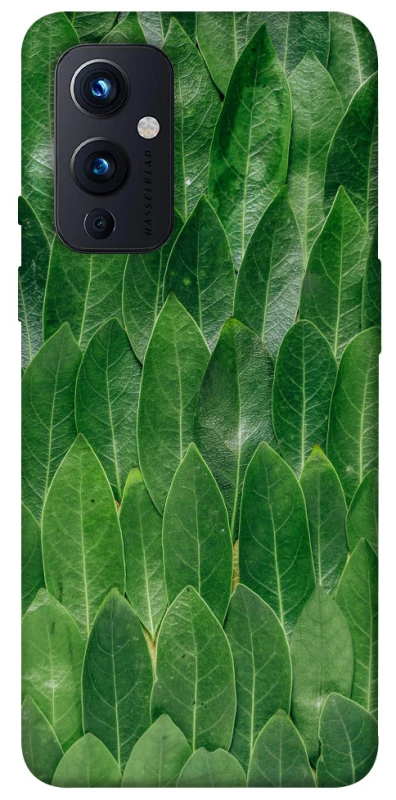 Чехол на OnePlus 9 Листья фото 1 из 1
