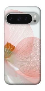 Чохол на Google Pixel 10 Pro XL Flowers zon фото 1 Чохол на Google Pixel 10 Pro XL Flowers zon фото 1 з 1