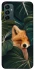 Чохол на Samsung Galaxy M14 5G Fox фото 1 з 1
