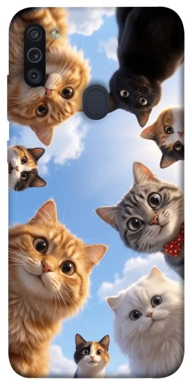 Чехол на Samsung Galaxy M11 Cats фото 1 из 1