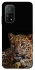 Чехол на Xiaomi Mi 10T Leopard v4 фото 1 из 1