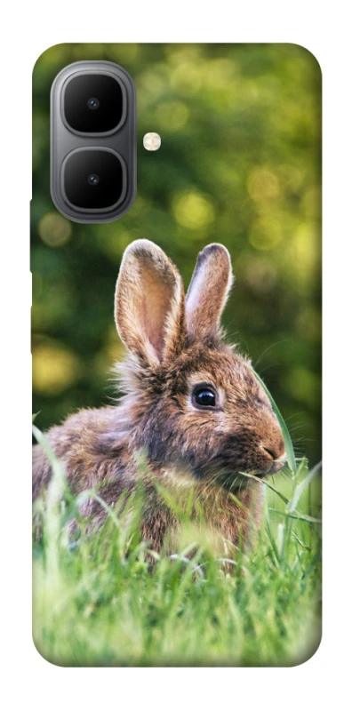 Чохол на Infinix Smart 10 Кролики фото 1 з 1