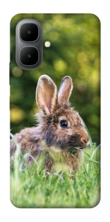 Чохол на Infinix Smart 10 Кролики фото 1 з 1