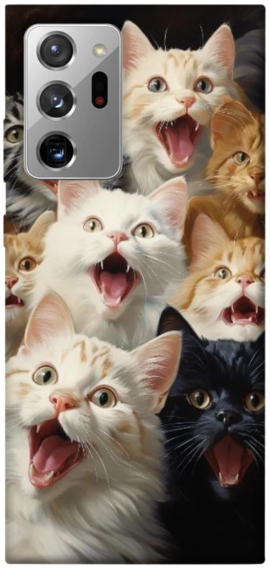 Чохол на Samsung Galaxy Note 20 Ultra Коти фото 1 з 1