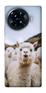 Чохол на TECNO Spark 20 Pro+ Лама фото 1 з 1