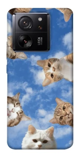 Чехол на Xiaomi 13T Сats фото 1 из 1