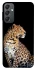 Чохол на Samsung Galaxy A24 4G Leopard v2 фото 1 з 1
