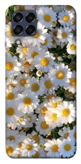 Чехол на Samsung Galaxy M33 5G Поле ромашек фото 1 из 1