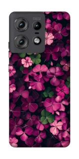 Чехол на Motorola Edge 50 Pro Flowers v7 фото 1 из 1