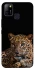 Чехол на Infinix Hot 10 Lite Leopard v4 фото 1 из 1