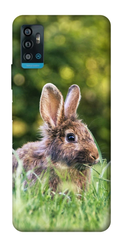 Чехол на ZTE Blade A71 Кролики фото 1 из 1