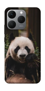 Чохол на Realme 15T Панда фото 1 з 1