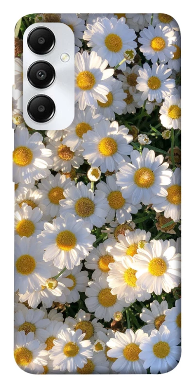 Чохол на Samsung Galaxy A05s Поле ромашок фото 1 з 1