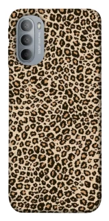 Чохол на Motorola Moto G31 Leopard Skin v2 фото 1 з 1