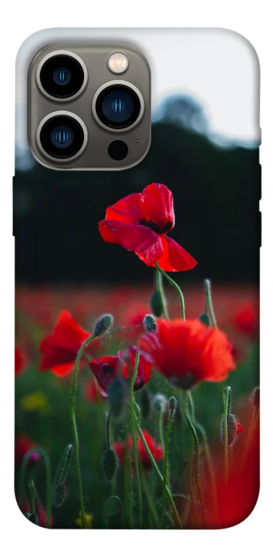 Чехол на Apple iPhone 13 Pro (6.1") Мак фото 1 из 1