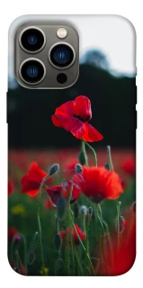 Чехол на Apple iPhone 13 Pro (6.1") Мак фото 1 из 1