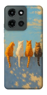 Чехол на Motorola Moto G Power (2025) cats on wall фото 1 Чехол на Motorola Moto G Power (2025) cats on wall фото 1 из 1