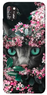 Чехол на TECNO POP 4 Pro Кот в цветах фото 1 из 1
