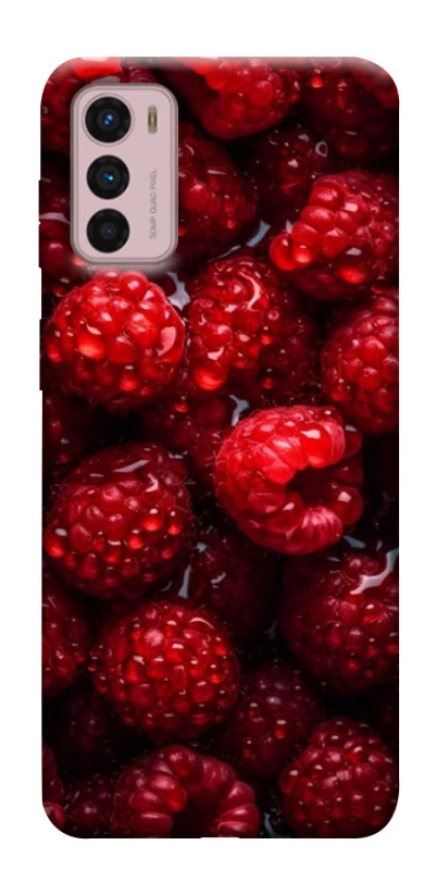 Чохол на Motorola Moto G42 Малинка фото 1 з 1