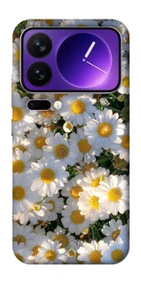 Чохол на Xiaomi 17 Pro Max Поле ромашок фото 1 з 1