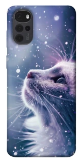Чохол на Motorola Moto G22 Snow cat фото 1 з 1