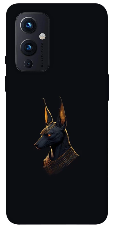 Чехол на OnePlus 9 Anubis фото 1 из 1