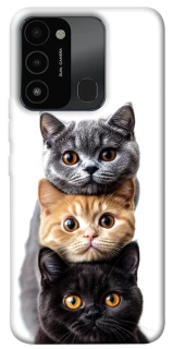 Чохол на TECNO Spark 8C Гарні котики фото 1 з 1