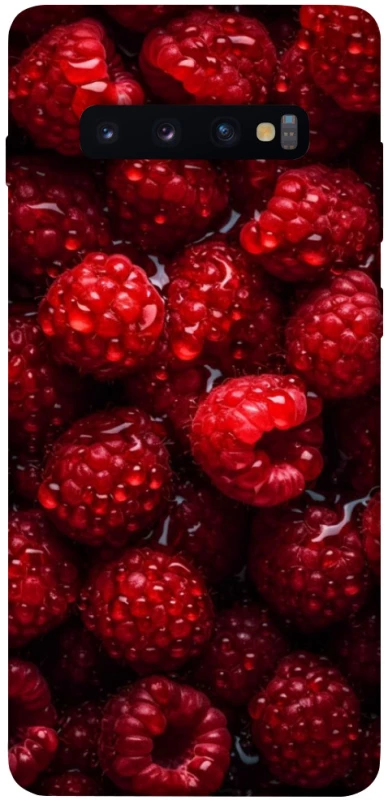Чохол на Samsung Galaxy S10+ Малинка фото 1 з 1