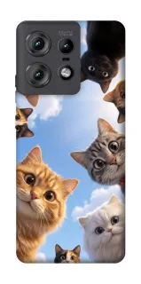 Чехол на Motorola Edge 50 Pro Cats фото 1 из 1