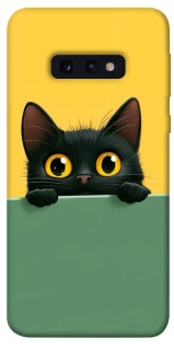 Чехол на Samsung Galaxy S10e Black cat v2 фото 1 из 1