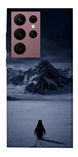 Чехол на Samsung Galaxy S22 Ultra But why? фото 1 из 1