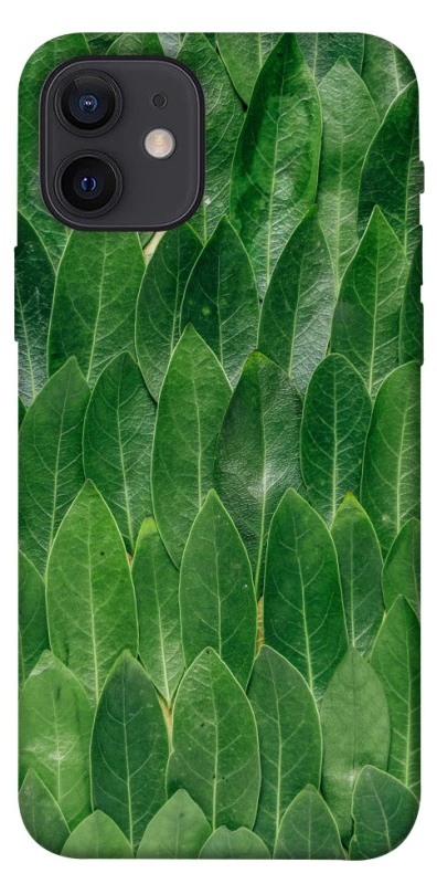 Чохол на Apple iPhone 12 (6.1") Листя фото 1 з 1