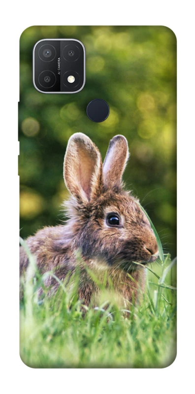 Чехол на Oppo A15s / A15 Кролики фото 1 из 1
