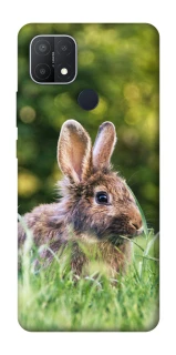 Чохол на Oppo A15s / A15 Кролики фото 1 з 1