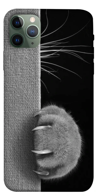 Чохол на Apple iPhone 11 Pro Max (6.5") Spy Cat фото 1 з 1
