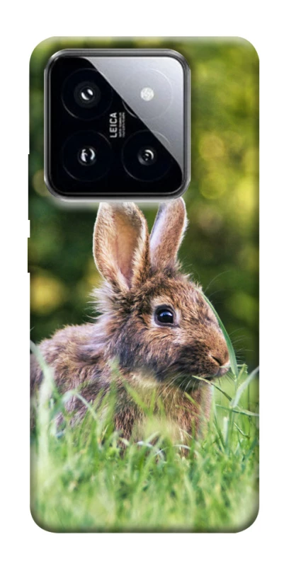 Чохол на Xiaomi 14 Pro Кролики фото 1 з 1