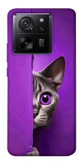 Чохол на Xiaomi 13T Кіт-підглядач фото 1 з 1