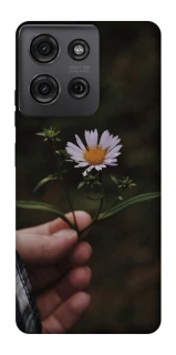 Чохол на Motorola Moto G75 Ромашка v4 фото 1 з 1