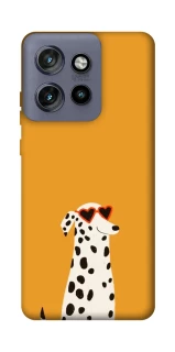 Чехол на Motorola Edge 50 Neo Долматинец фото 1 из 1