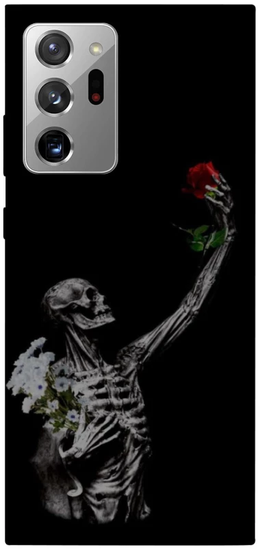 Чехол на Samsung Galaxy Note 20 Ultra Skeleton vs Rose фото 1 из 1