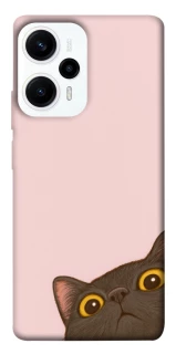 Чохол на Xiaomi Poco F5 / Note 12 Turbo Peeping cat фото 1 з 1