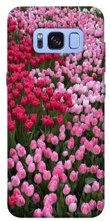 Чохол на Samsung G950 Galaxy S8 Flowers v9 фото 1 з 1