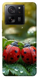 Чохол на Xiaomi 13T Pro Flowers v23 фото 1 з 1