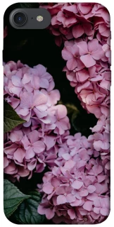 Чохол на Apple iPhone 7 / 8 (4.7") Рожеві гартензії фото 1 з 1