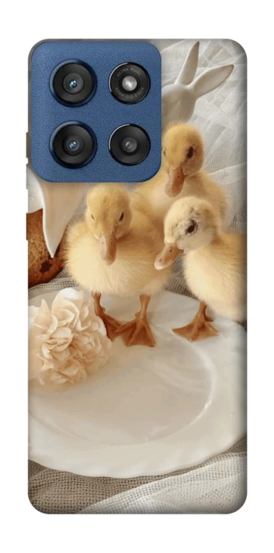 Чохол на Motorola Edge 60 Stylus Easter Vibes фото 1 з 1