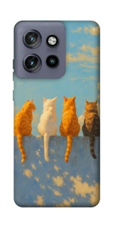 Чехол на Motorola Edge 50 Neo cats on wall фото 1 Чехол на Motorola Edge 50 Neo cats on wall фото 1 из 1