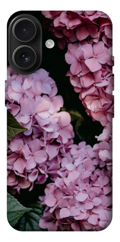 Чохол на Apple iPhone 17 (6.3") Рожеві гартензії фото 1 з 1