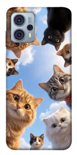 Чехол на Motorola Moto G23 Cats фото 1 из 1