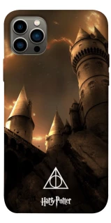 Чехол на Apple iPhone 12 Pro (6.1") Harry Potter ver.13 фото 1 из 1