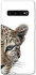 Чохол на Samsung Galaxy S10 Leopard Art v2 фото 1 з 1
